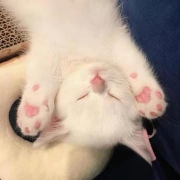 Ảnh đại diện của Đức Anh